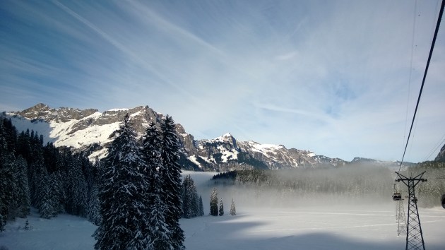 Lumia Petri_20131117_003