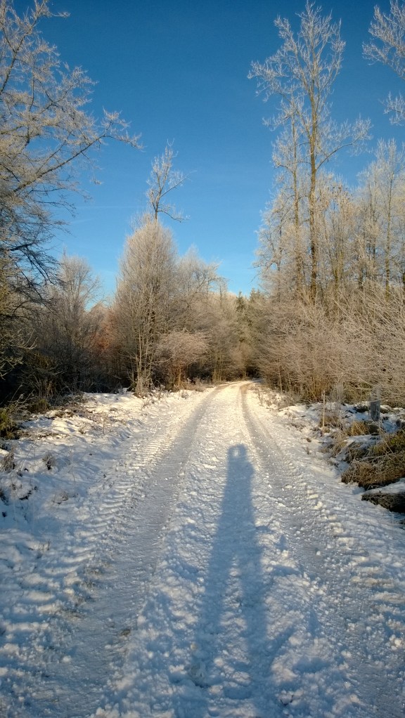 Lumia Petri_20131204_002