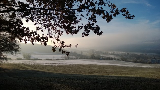 Lumia Petri_20131204_004