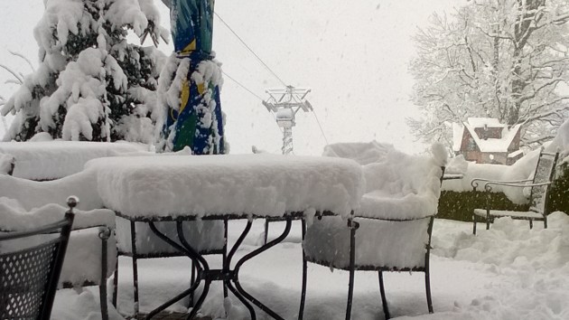 Lumia Petri_20131226_008