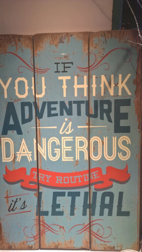 WP_20150821_13_11_04_Pro